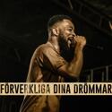 Proffsiga beats i flera genrer