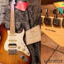 Fender AM proffesional