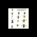 2 Syd Barrett CD