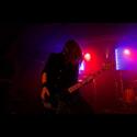 Erfaren Bassist Finnes!