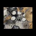 Trummis s&ouml;ker band 