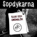 Punkgitarrist s&ouml;kes!