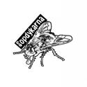 Punkgitarrist s&ouml;kes!