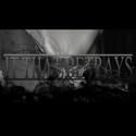 Bassist till Metalcore band