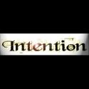 Intention s&ouml;ker solo/rytmgitarrist