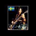 Basist finnes 