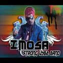 REGGAE DANCEHALL KEYBOARDIST