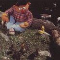 vi söker coola personer till vårat coola band B)