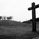 Döds-vrål 