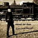 Söker livemusiker för Heart Of Oak!