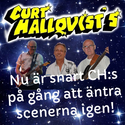 Sångkunnig keyboardist