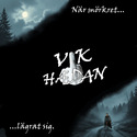VIK HÆDAN söker medmusiker för att lira (trall)punk! 