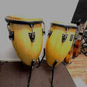 Congas