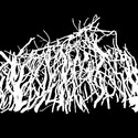 Grind core neo microtonal Bungle